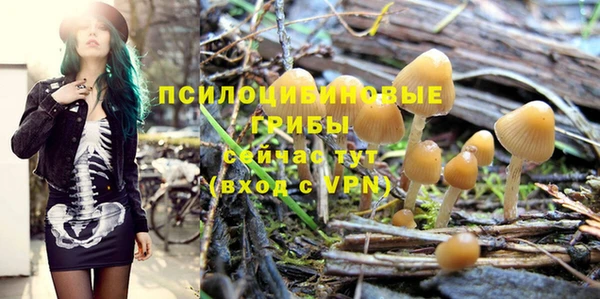 прущие грибы Волосово