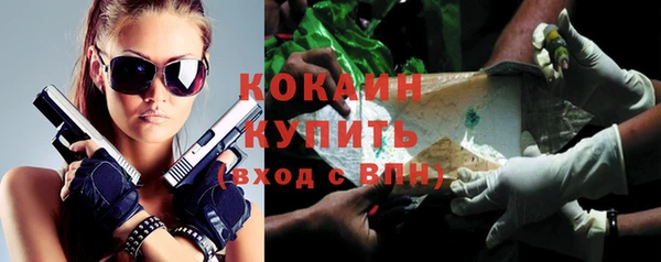 прущие грибы Волосово