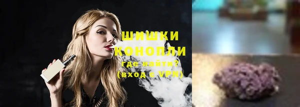 прущие грибы Волосово