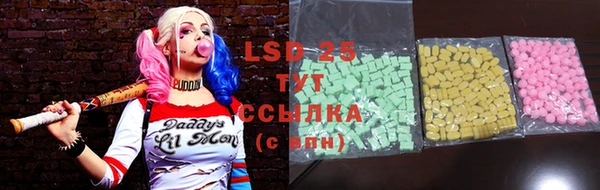 прущие грибы Волосово