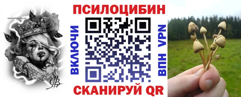Купить где  Свирск  Псилоцибиновые грибы Psilocybine cubensis 